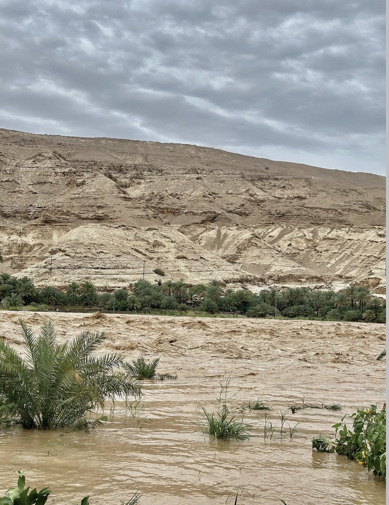 وادي الطف بعد هطول المطر