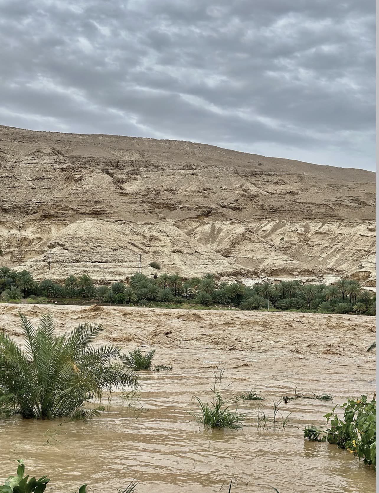 سفح جبلي ومزرعة في الطف بعد المطر